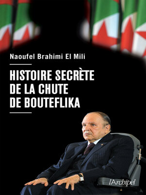 cover image of Histoire secrète de la chute de Bouteflika